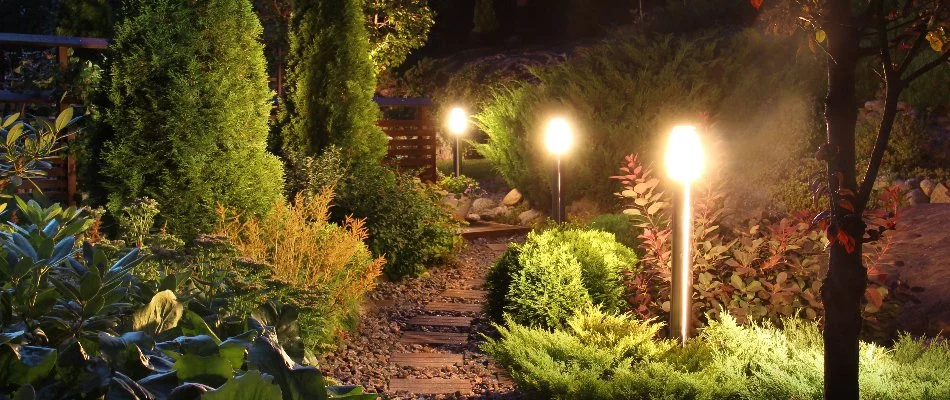 Landscape in Waterbury, CT, with plants and outdoor lights.