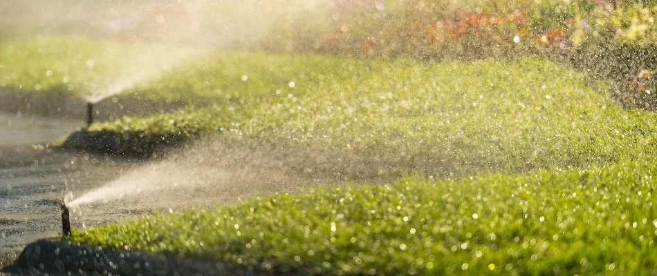 Lawn in Elmsford, NY, with irrigation sprinkler heads.
