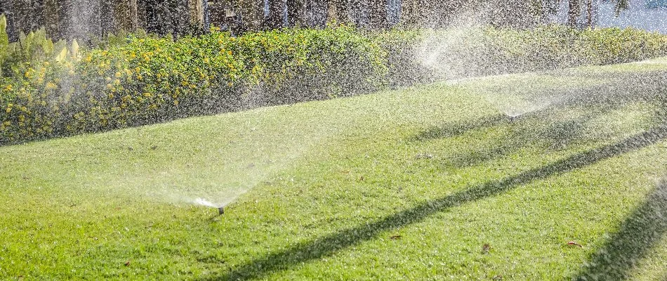 Lawn in West Orange, NJ, with irrigation sprinkler heads.