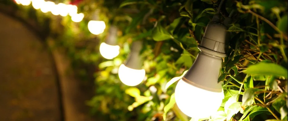 LED light bulbs on a fence with foliage on a property in Rockland County, NY.