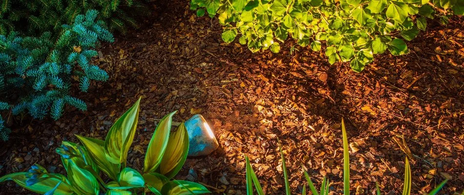 LED lighting fixture on a mulched landscape in Islip, NY.