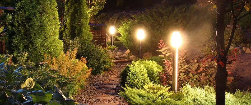 Lush green plants and outdoor LED lighting in Hoboken, NJ.