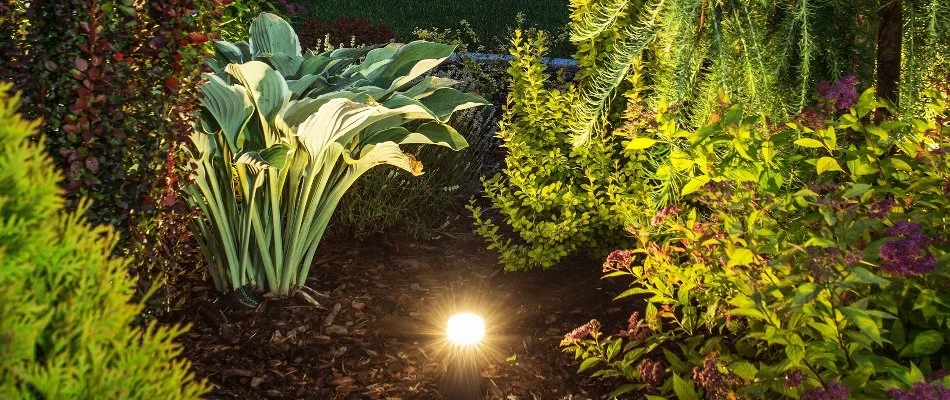 Outdoor lighting in a landscape in New Jersey.