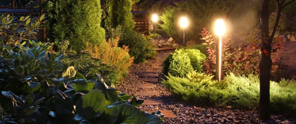 Path lighting and shrubs in a landscape in Park Ridge, NJ.