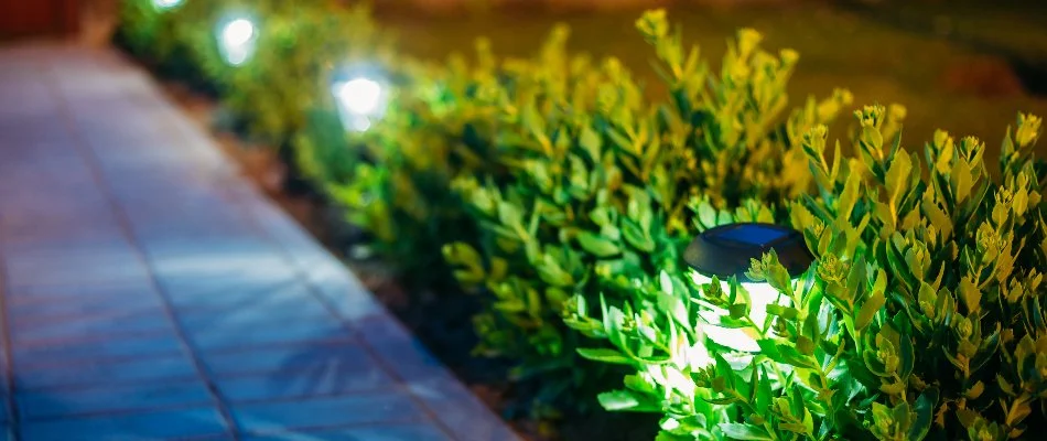 Path lighting in shrubs along a walkway in Upper Saddle River, NJ.