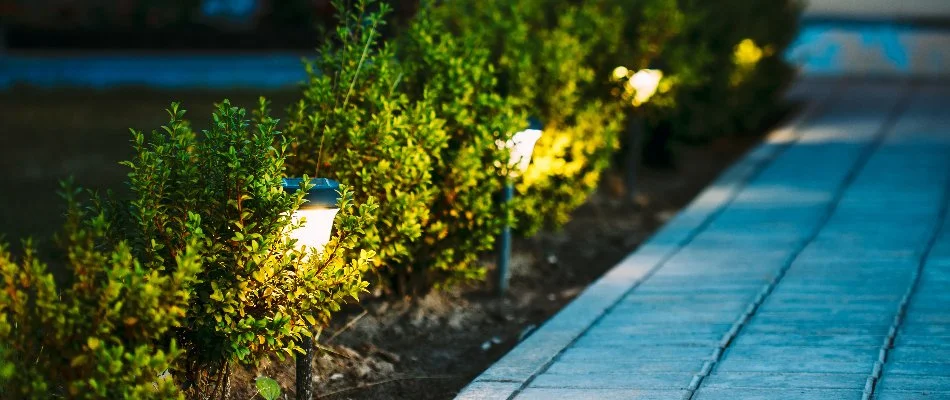 Outdoor lighting on pathway on residential property in Alpine, NJ.