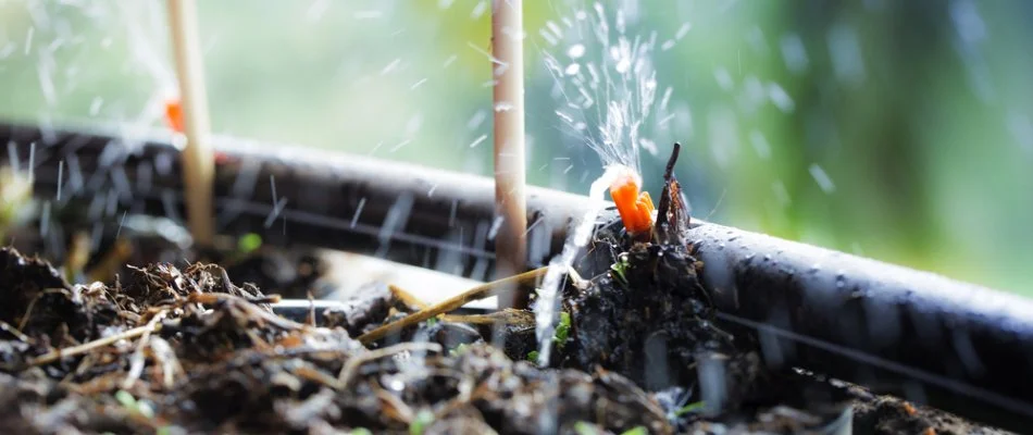 Pipe and emitter of a drip irrigation in Passaic, NJ.
