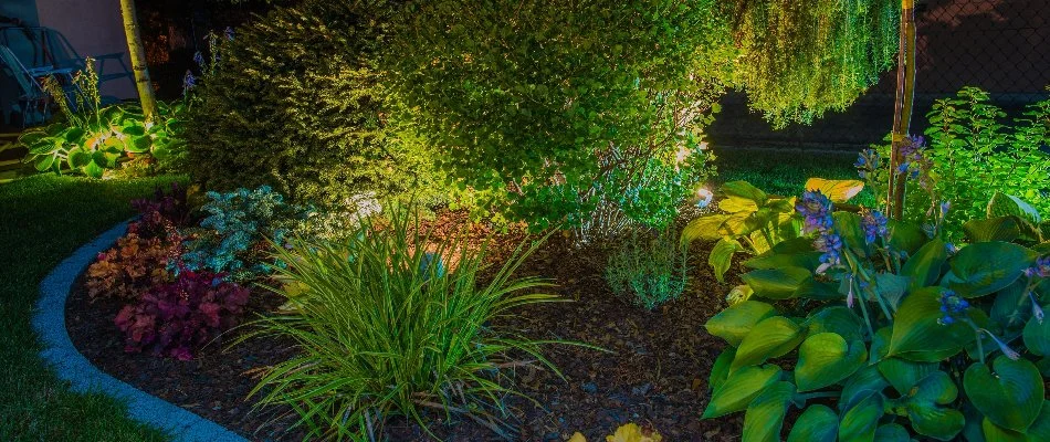 Plants illuminated by a lighting system in Newark, NJ.