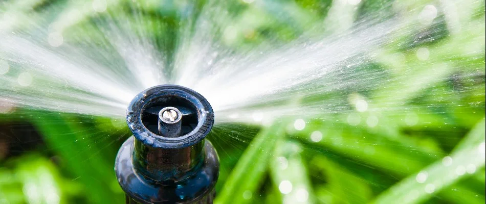 Irrigation sprinkler head on property in Alpine, NJ.
