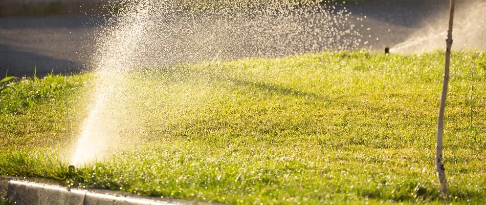Sprinkler head on the edge of a lawn in Babylon, NY.