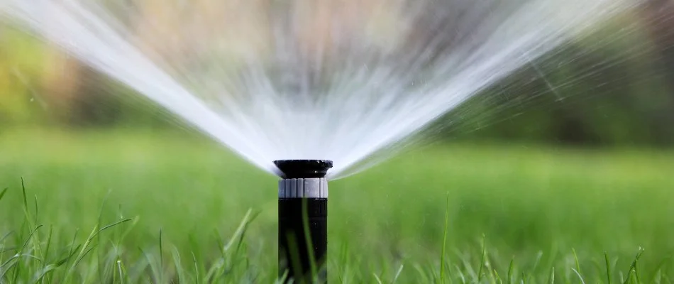 A sprinkler head popping up on a lawn in Park Ridge, NJ, spraying water.