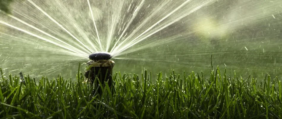 Irrigation sprinkler head releasing water over green grass in Bridgeport, CT.