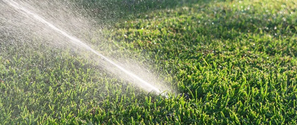 Sprinkler head releasing water across a lawn in Piscataway, NJ.