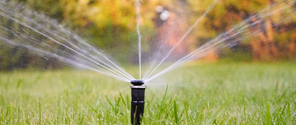 Sprinkler head spraying water on grass in Edison, NJ.