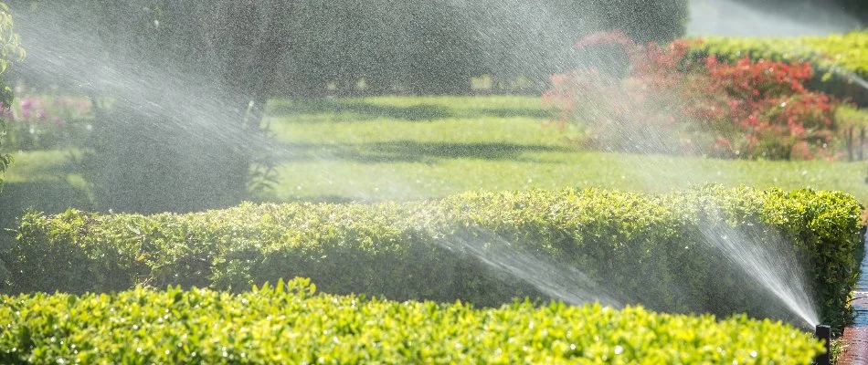 Sprinkler irrigation watering over green shrubs in New Haven, CT.