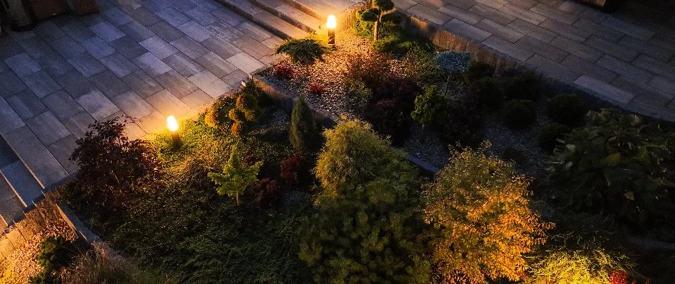 Top-down view of lighting in landscape beds in Huntington, NY.