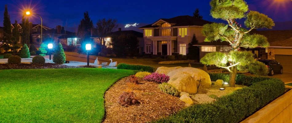 Tree and shrubs with LED lighting in Plainfield, NJ.