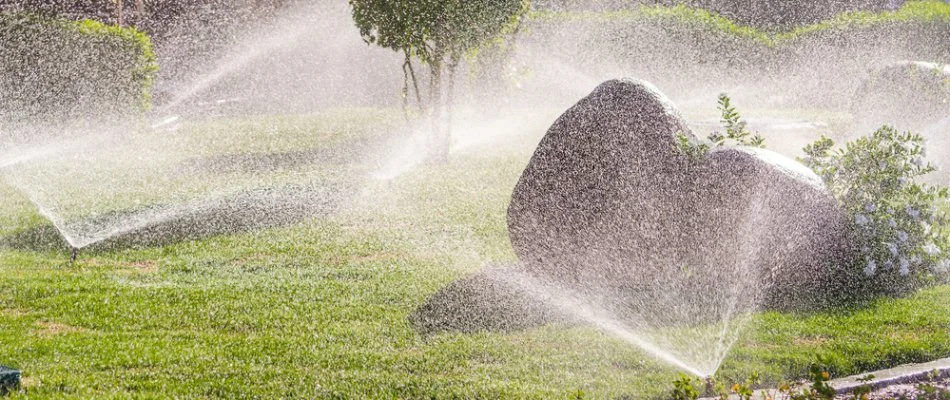 Watering grass and shrubs in Wayne, NJ, with sprinkler heads.